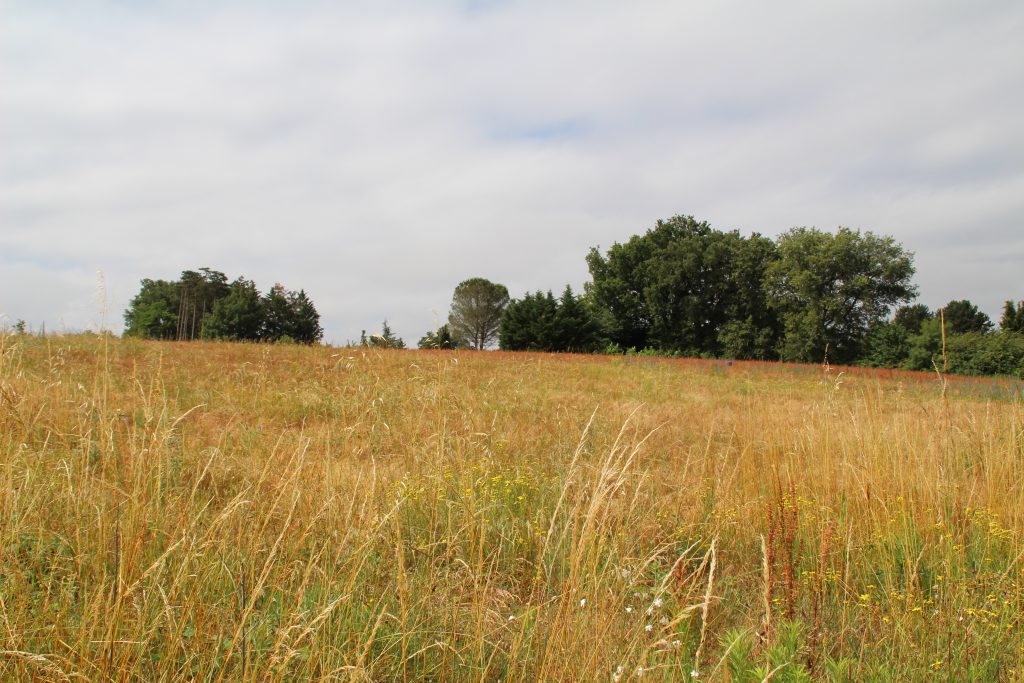 éco-lieu îlot de lumière domaine de l'Hêtre Graulhet