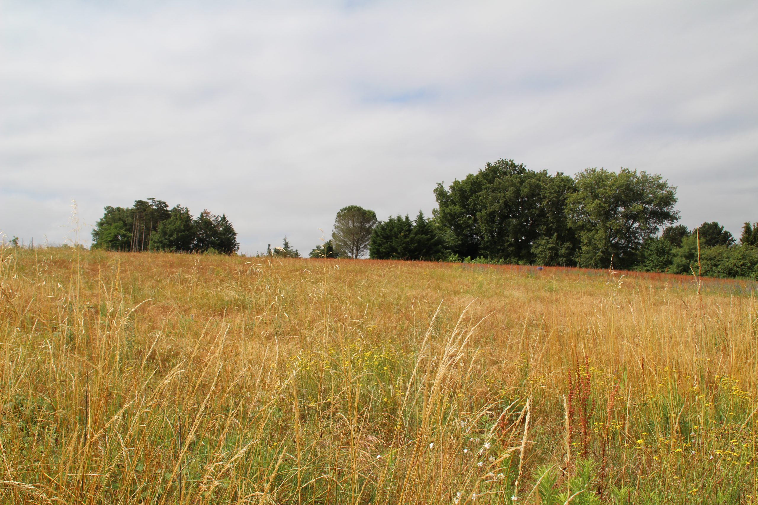 éco-lieu îlot de lumière domaine de l'Hêtre Graulhet