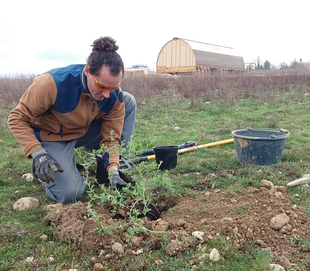 permaculture