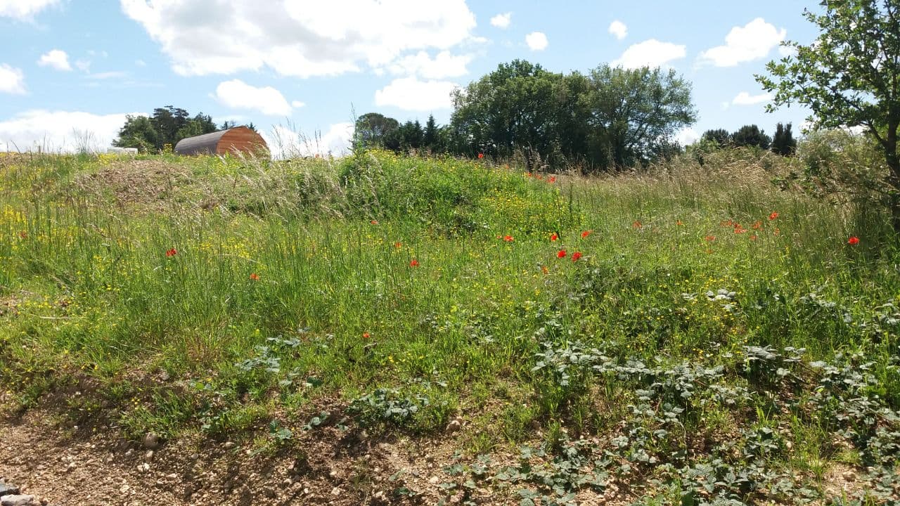 domaine de l'hêtre